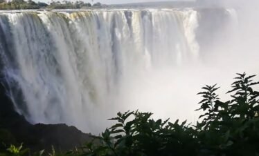 Mos-a-tunya